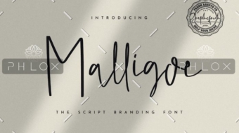 demo-attachment-37-3a4cc2d0-a2a5-45b7-847d-e2b1452df304